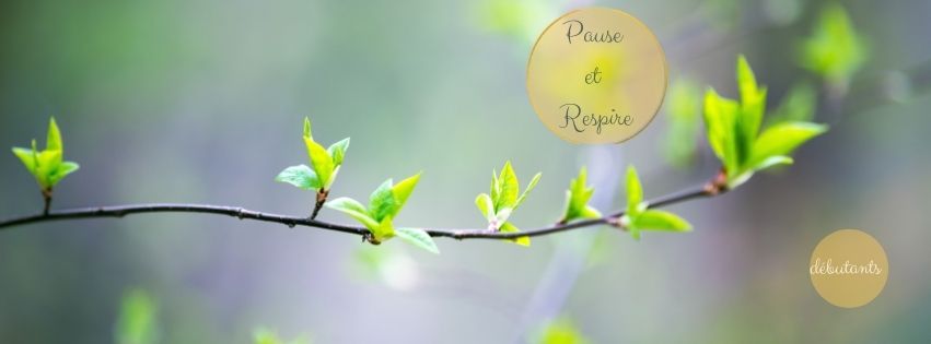 Atelier Gratuit : Techniques de Respiration Consciente